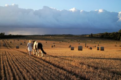 Wissenswertes über Tinker Steckbrief, Charakter und mehr
