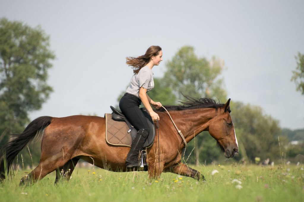 meine frau am reiten