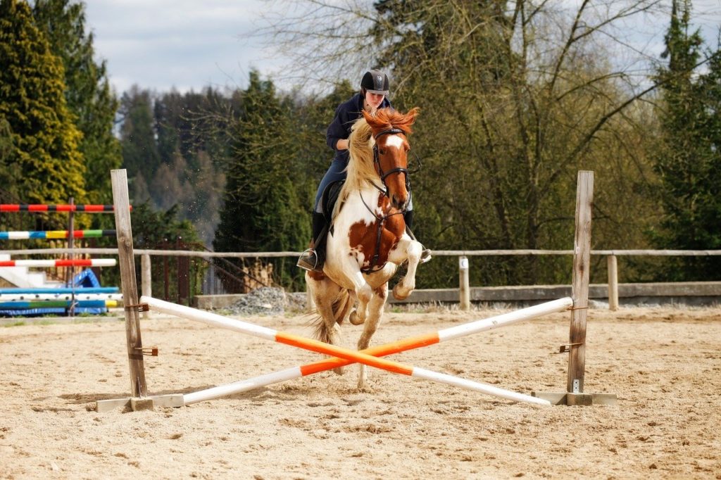 horse, jump, obstacle