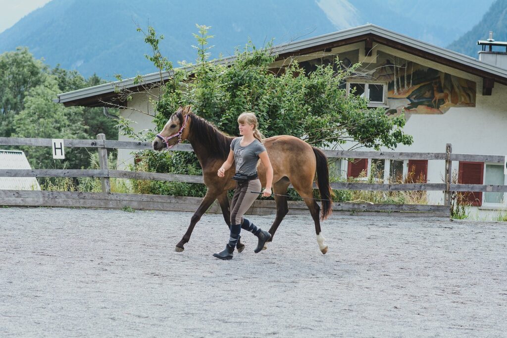 foal, horse, girl-6552944.jpg